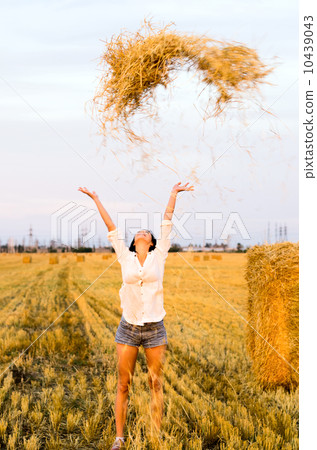 Countryside scene 10439043