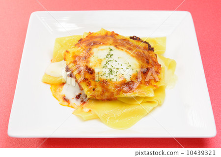 Delicious Lasagna 10439321