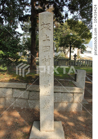 Sakagutadamura Maro Sakagutadamura Maro 10439424