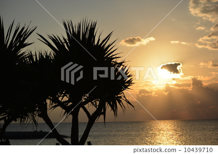 日落 日落 10439710