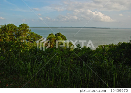 Sea Sea (Sandakan / East Malaysia / Borneo Island) 10439970