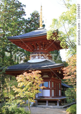 Circular temple 10439997