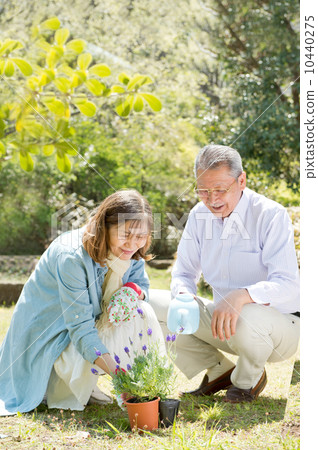 Senior couple doing gardening Senior couple doing gardening 10440275