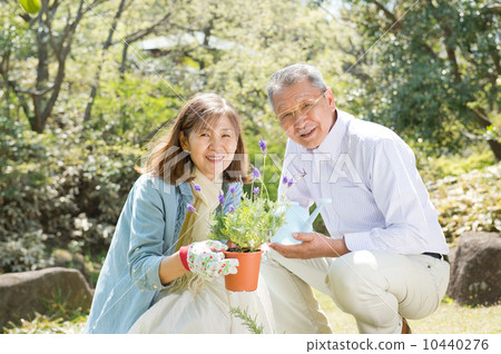 Senior couple doing gardening 10440276