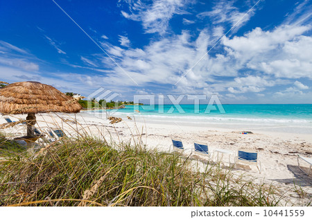 Beautiful Caribbean beach 10441559