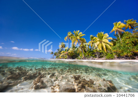 Tropical island 10441706