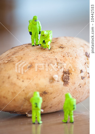 Group of Researchers in protective suit inspecting a potato. Group of Researchers in protective suit inspecting a potato. 10442583