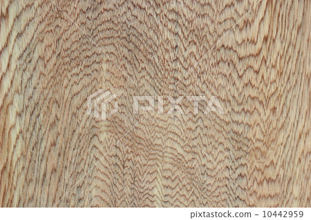 tree bark 10442959