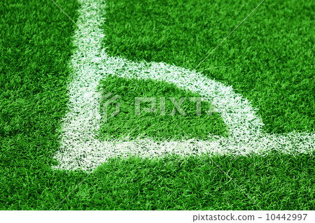 corner of soccer field 10442997