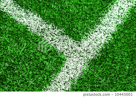 White stripe on green soccer field 10443001
