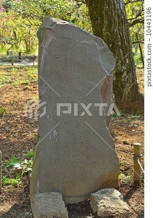 Mukojima百花園，Mamoru秋天的七粒穀山紀念先生 10443196