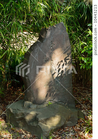 Mukojima百花園·Senju Ougi-koga Monogatari 10443213