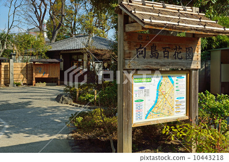 Mukojima Hyakuen 10443218