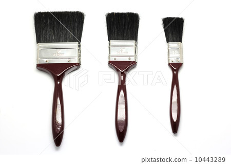 paintbrush 10443289