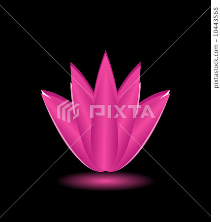 Lotus flower isolated on black background Lotus flower isolated on black background 10443568