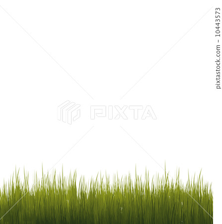 Green grass isolated on white background - Stock Illustration [10443573 ...