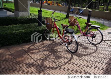 Bicycle Bicycle 10443638