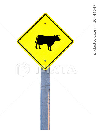 Cow warning sign 10444047