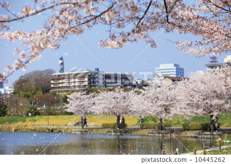 Spring noodles 10445262