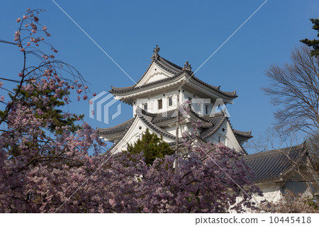 Ogaki castle 10445418