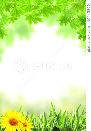 Maple leaves and green grass Maple leaves and green grass 10445890