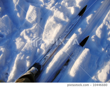 Cross country skis Cross country skis 10446880
