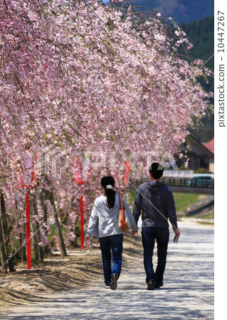 一對夫婦 一對夫婦 10447267