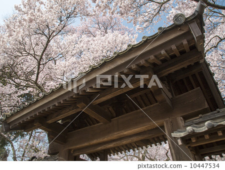 Takato Castle Ruins Park Takato Castle Ruins Park 10447534