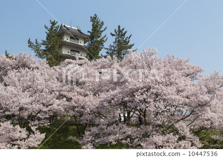 Takato Castle Ruins Park Takato Castle Ruins Park 10447536
