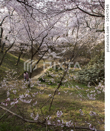 Takato Castle Ruins Park 10447546