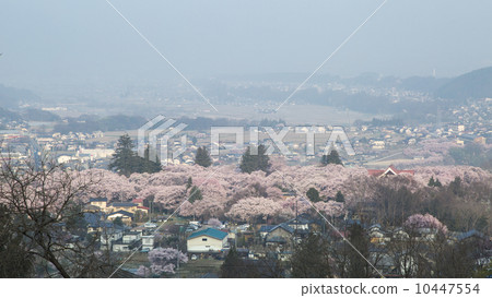 Takato Castle Ruins Park 10447554