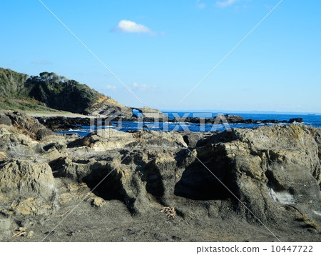 城島 10447722