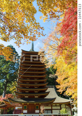 Autumn leaves of Shishiyama Shrine Autumn leaves of Shishiyama Shrine 10447813