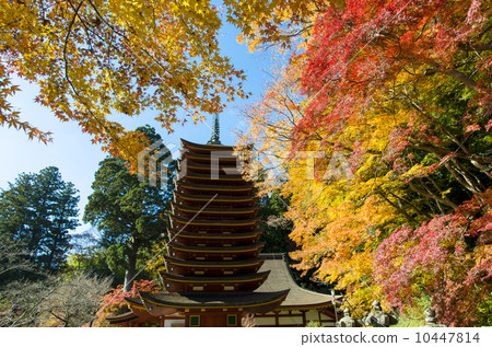 Autumn leaves of Shishiyama Shrine 10447814