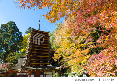 Shishiyama寺廟秋葉 10447816