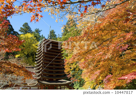 Autumn leaves of Shishiyama Shrine Autumn leaves of Shishiyama Shrine 10447817
