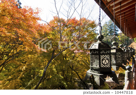 Autumn leaves of Shishiyama Shrine 10447818