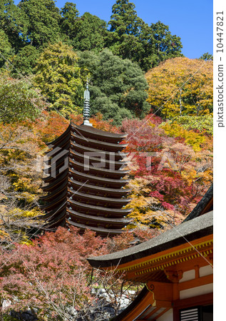 Autumn leaves of Shishiyama Shrine 10447821