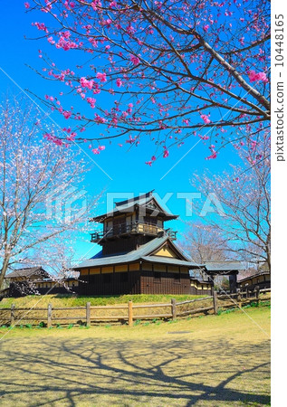 Okui Castle Ruins Park Okui Castle Two-storied oar and cherry blossoms 10448165