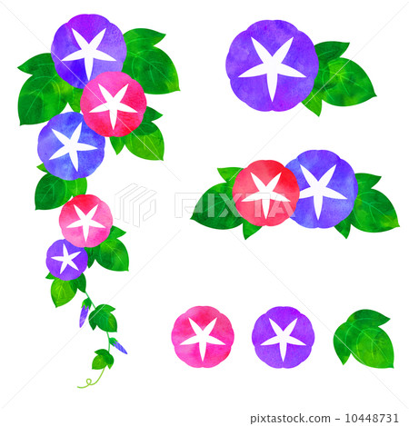 Morning glory material set 10448731