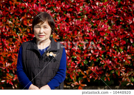 阿姨的笑容 阿姨的笑容 10448920