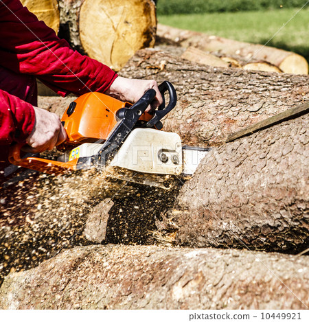 Man sawing a log in his back yard 10449921
