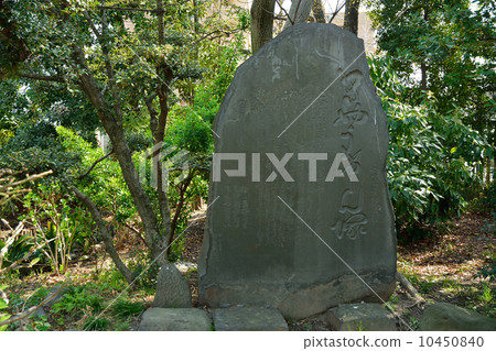 Mukojima百花園·Kyogen Mound Mukojima百花園·Kyogen Mound 10450840