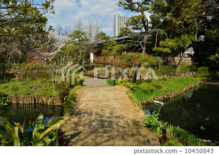 Mukojima Hyakuen Mukojima Hyakuen 10450843