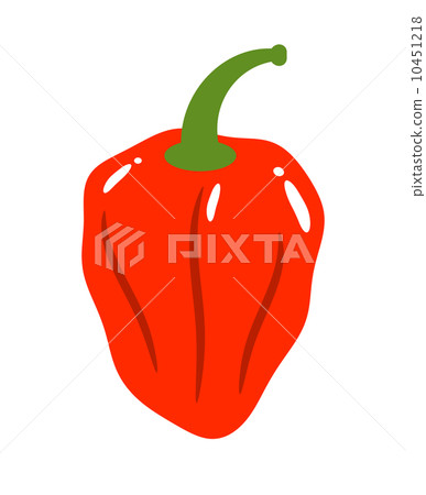 habañero pepper 10451218
