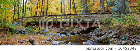 Autumn wood bridge panorama Autumn wood bridge panorama 10452342