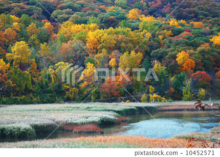 Autumn Mountain with lake 10452571