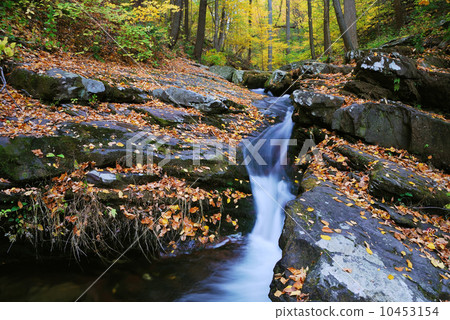 Autumn creek closeup 10453154
