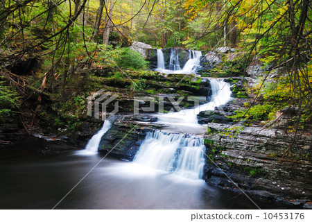 Waterfall in forest Waterfall in forest 10453176