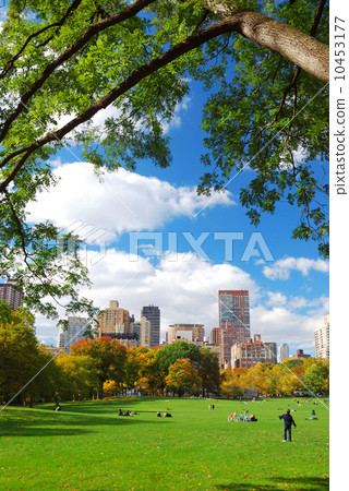 New York City Central Park New York City Central Park 10453177